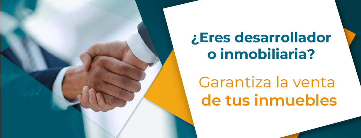 DESARROLLADORES E INMOBILIARIAS